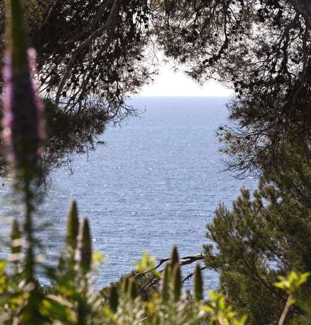 Hôtel le Provençal, Hotel Presque Ile de Giens face Porquerolles