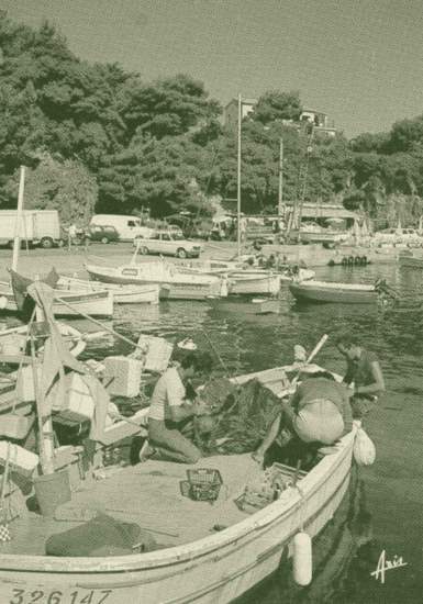 Hotel Restaurants face à Porquerolles, Le Provencal
