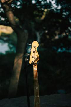 jazz à porquerolles guitare